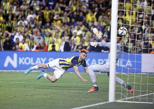 将成为球队 将成为球队