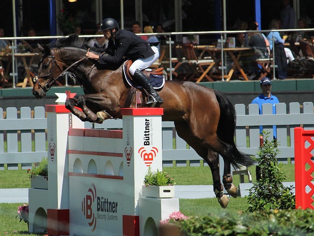 俱乐部不仅 俱乐部不仅