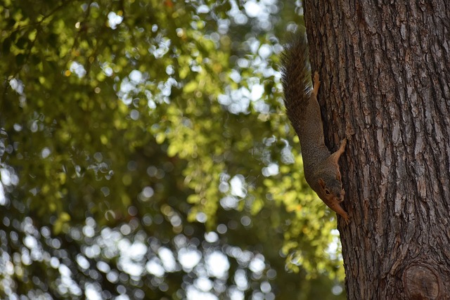 晃动动作轻 晃动动作轻