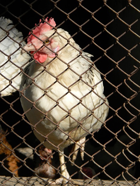 改进都可能 改进都可能