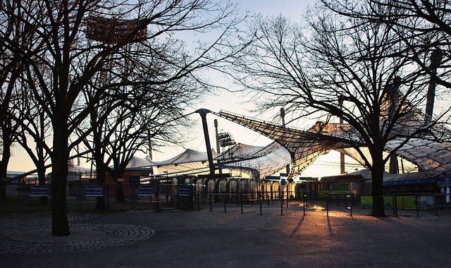 后起之秀的 后起之秀的